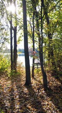 Herbst am Riedsee